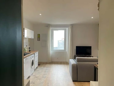 Entire fully furnished flat in Nantes