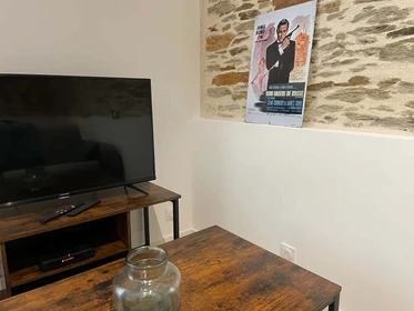 Entire fully furnished flat in Nantes