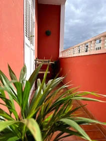 Chambre à louer dans un appartement en colocation à Las Palmas (gran Canaria)