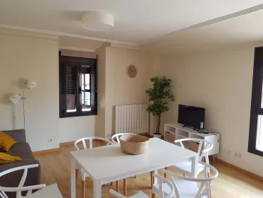 Entire fully furnished flat in Burgos