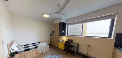 Great studio apartment in Sydney