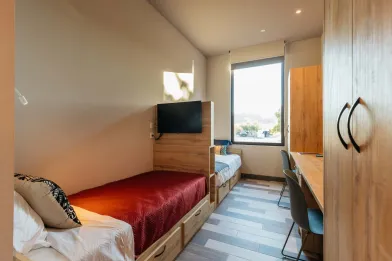 Cheap shared room in Coimbra