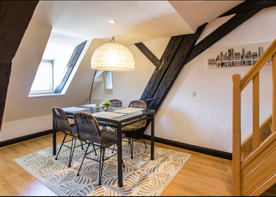 Chambre en colocation dans un appartement de 3 chambres Strasbourg