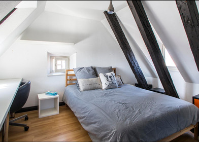 Chambre en colocation dans un appartement de 3 chambres Strasbourg