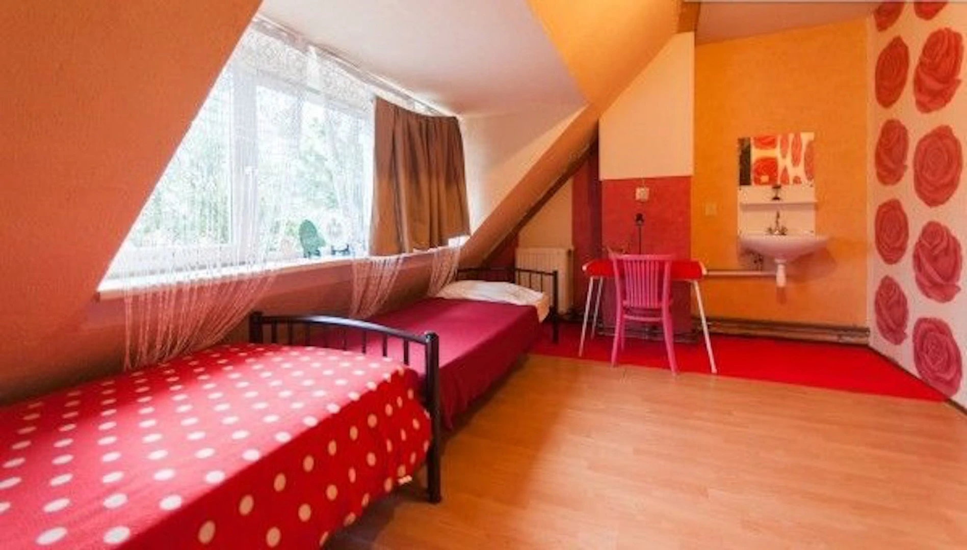 Cheap shared room in Rotterdam