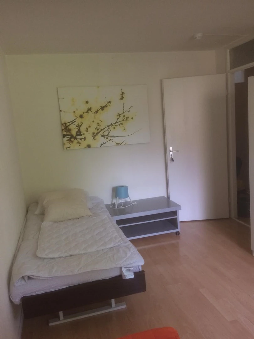 Room for rent in a shared flat in Maastricht