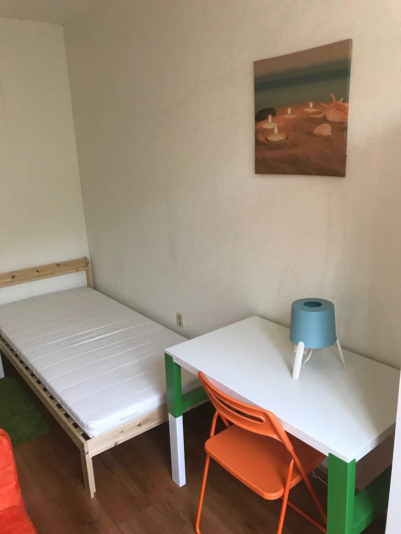 Chambre à louer dans un appartement en colocation à Maastricht