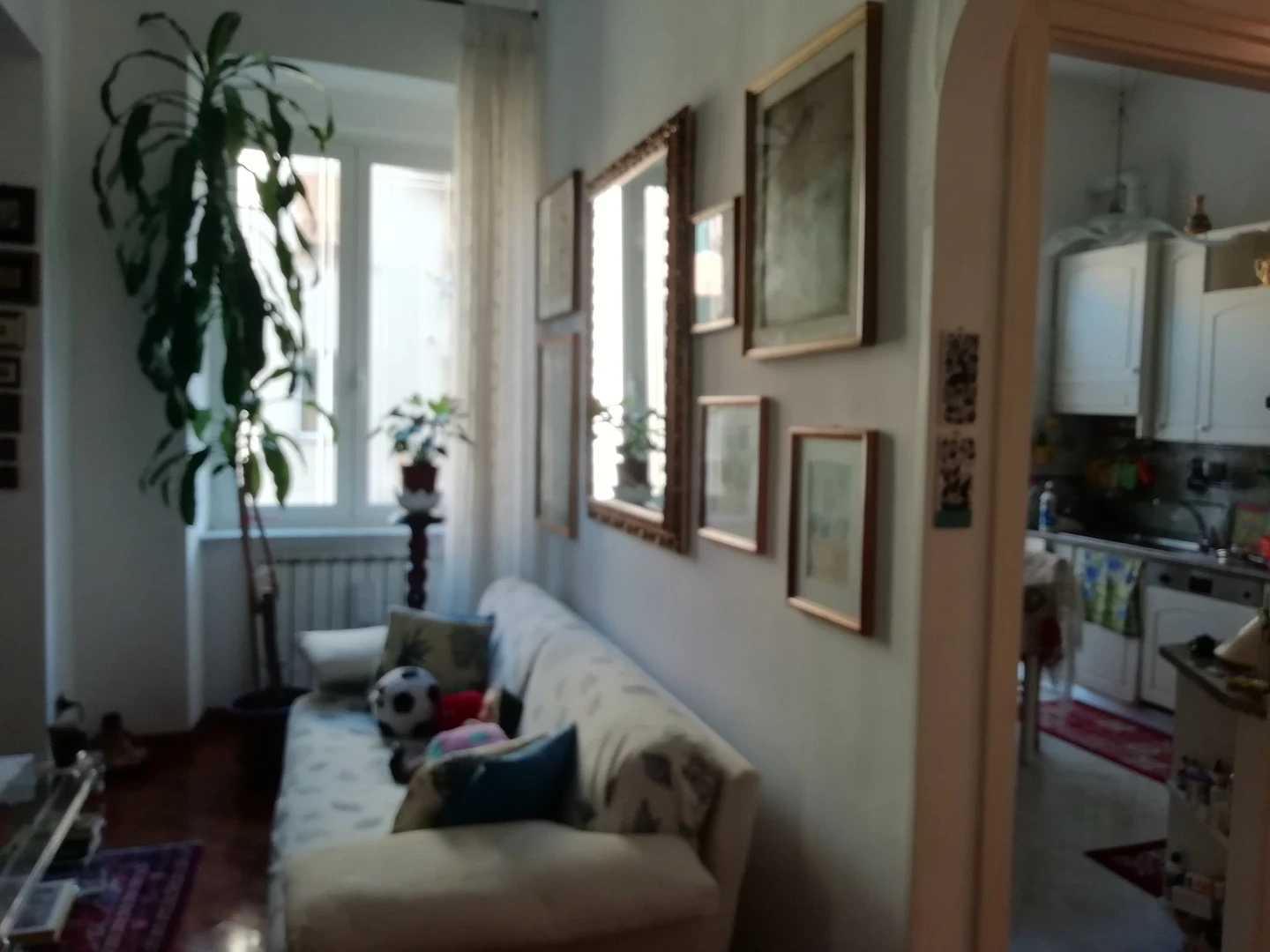 Habitación privada muy luminosa en Génova