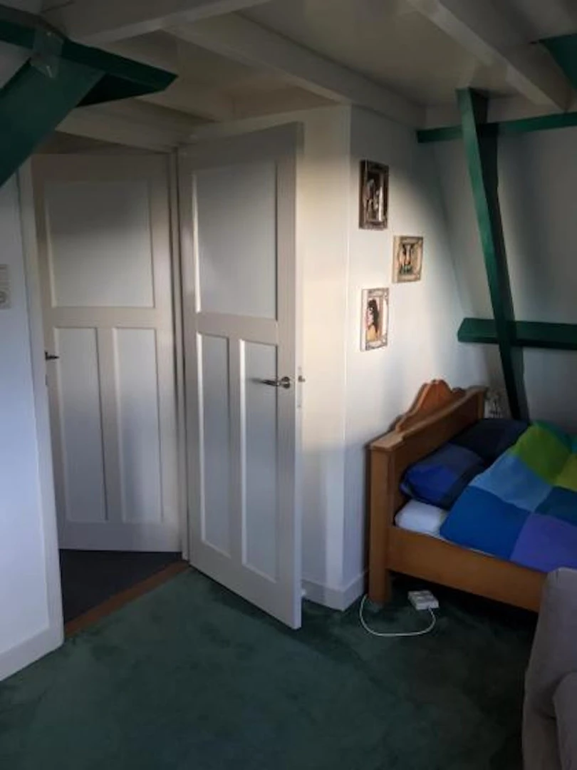 Renting rooms by the month in Delft