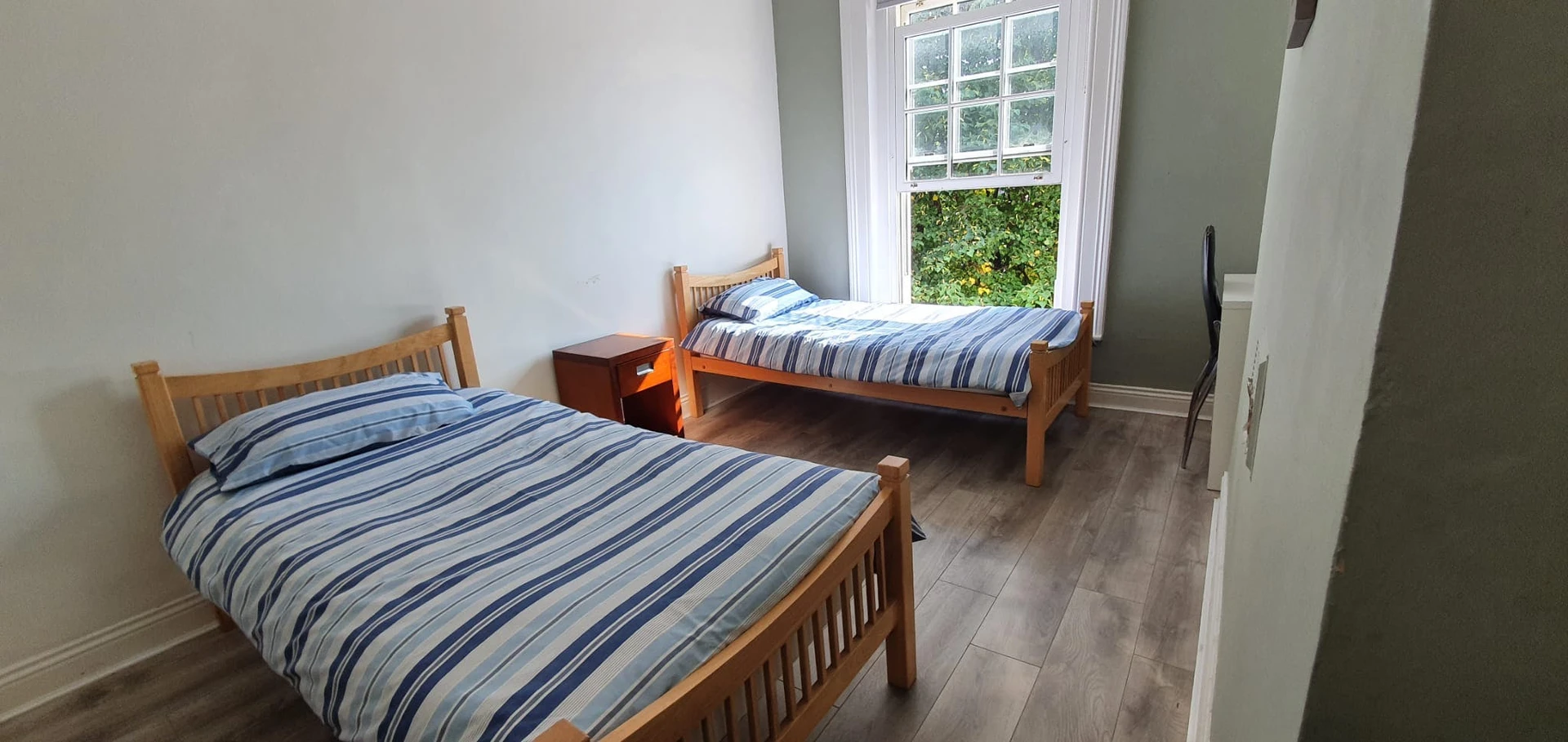 Bright shared room for rent in Dublin