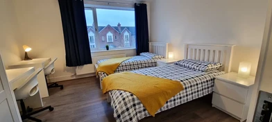 Shared room in 3-bedroom flat Dublin