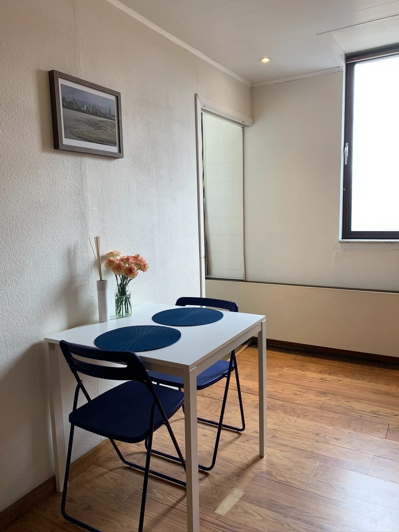 Chambre à louer dans un appartement en colocation à Anvers