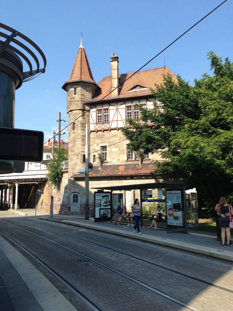 Nowoczesne i jasne mieszkanie w Strasburg