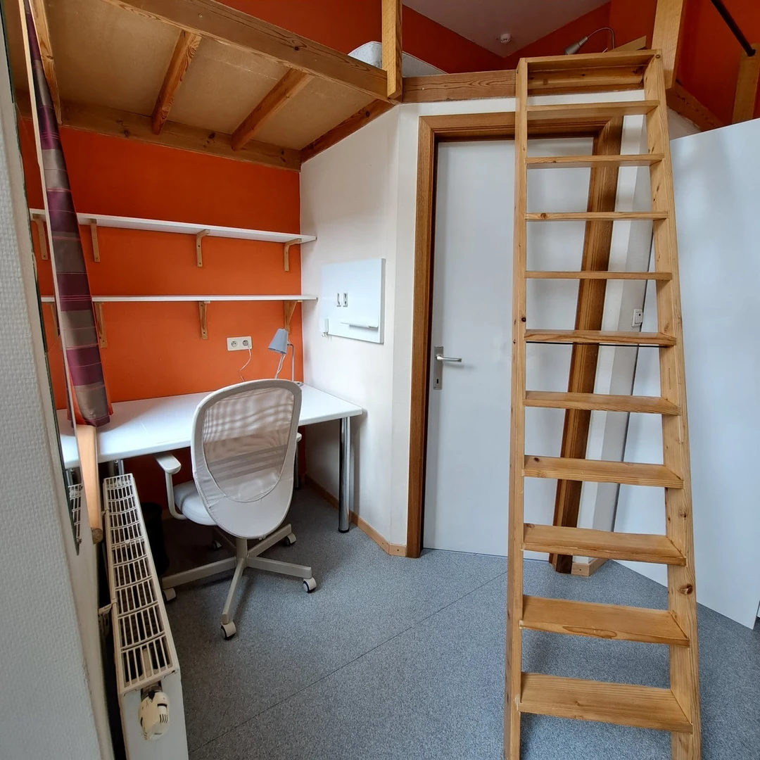 Chambre à louer dans un appartement en colocation à Liège