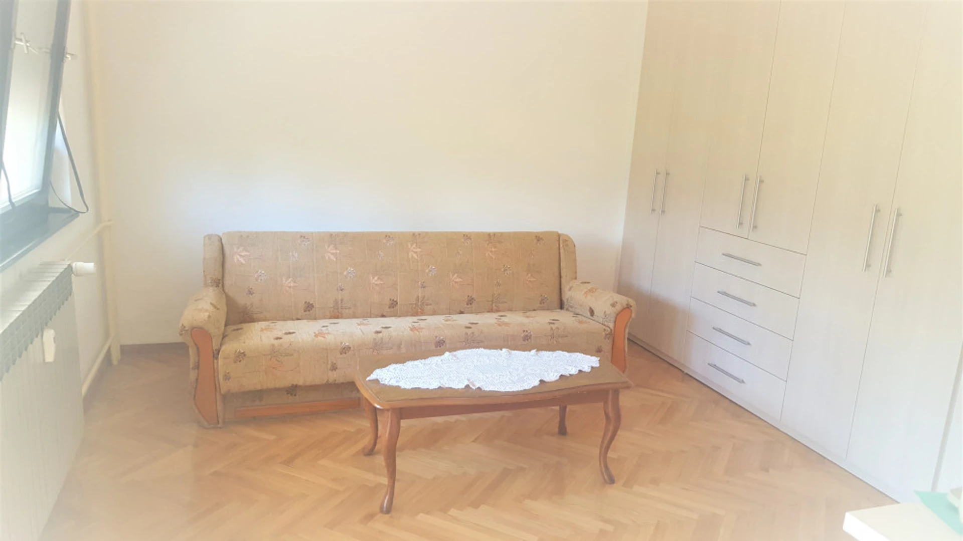 Entire fully furnished flat in Zagreb