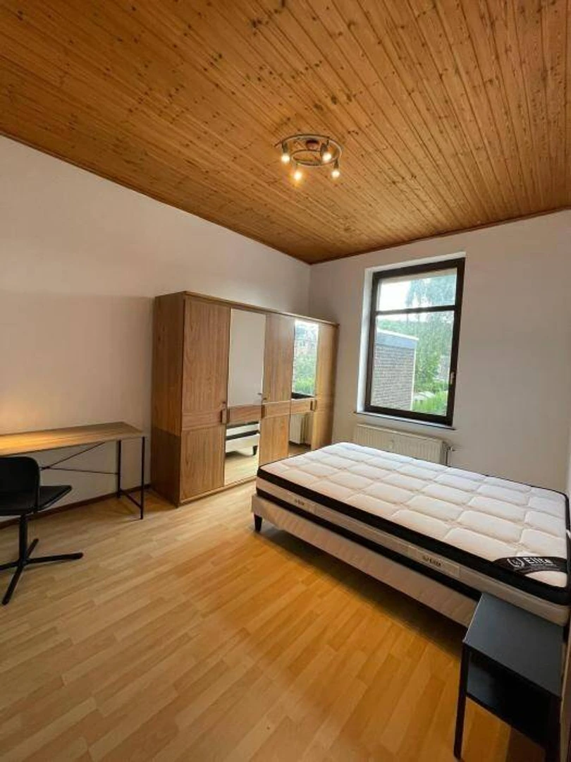 Chambre à louer dans un appartement en colocation à Liège