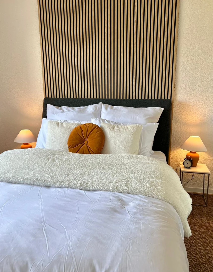 Accommodation in the centre of Ludwigshafen Am Rhein