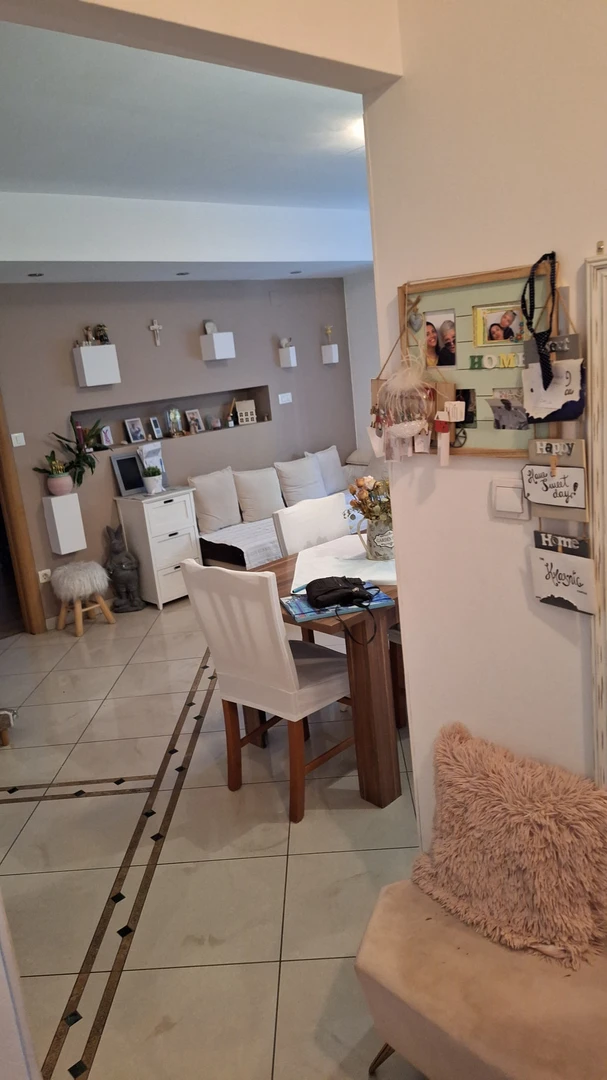 Entire fully furnished flat in Split