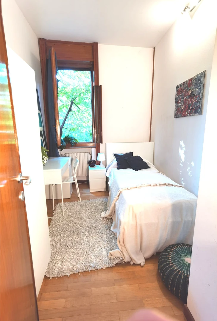 Stanza in affitto in appartamento condiviso a Bergamo