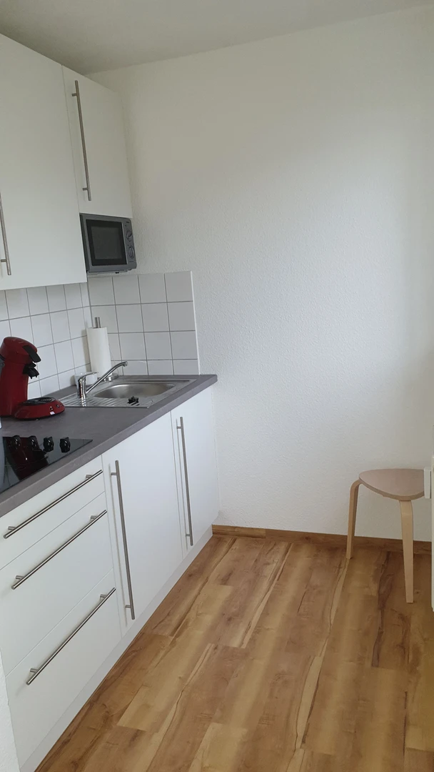 Chambre à louer dans un appartement en colocation à Freiburg Im Breisgau