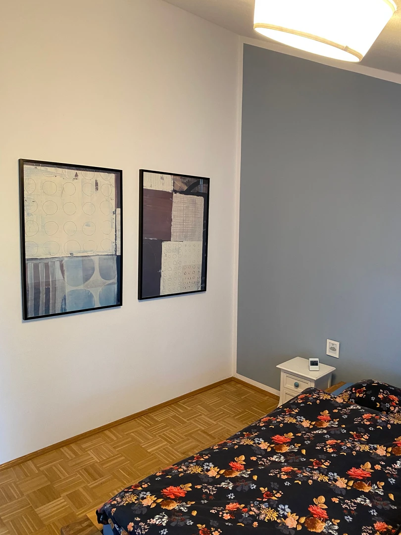 Chambre à louer avec lit double Mainz