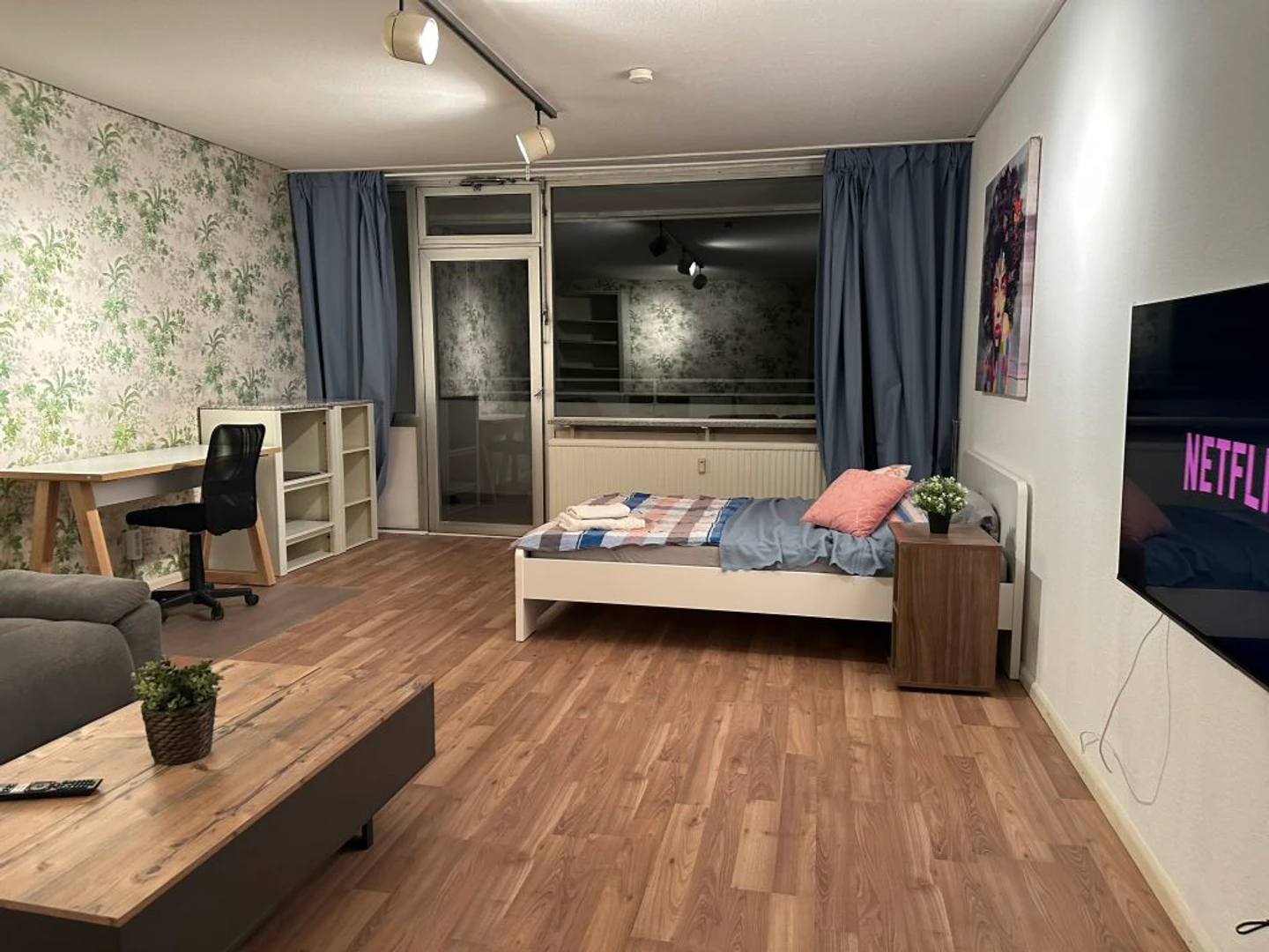 Entire fully furnished flat in Bonn