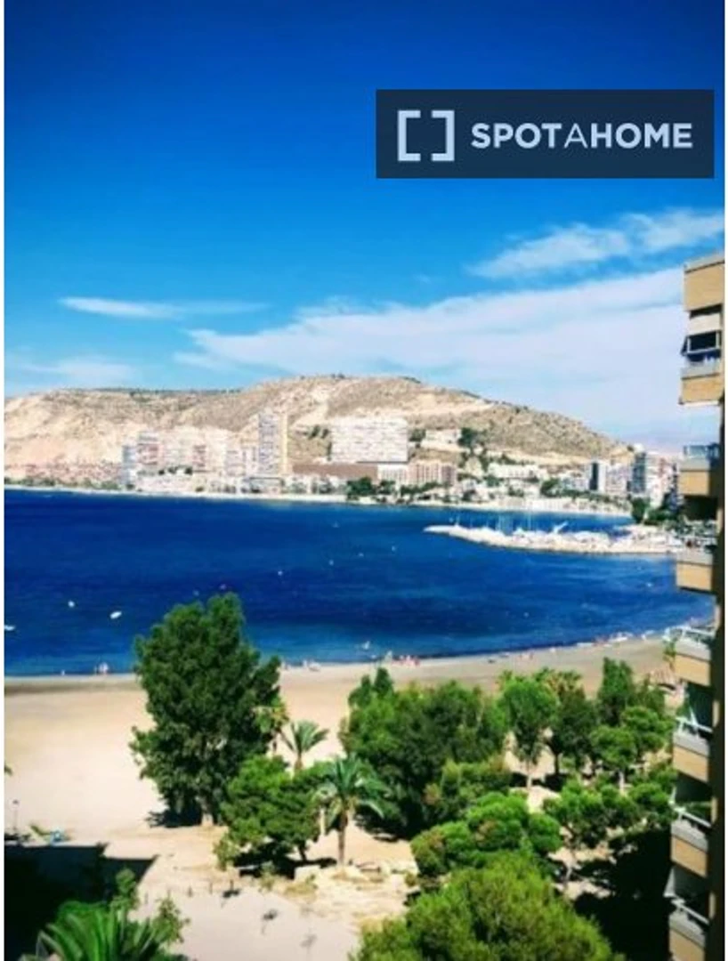 Komplette Wohnung voll möbliert in Alicante
