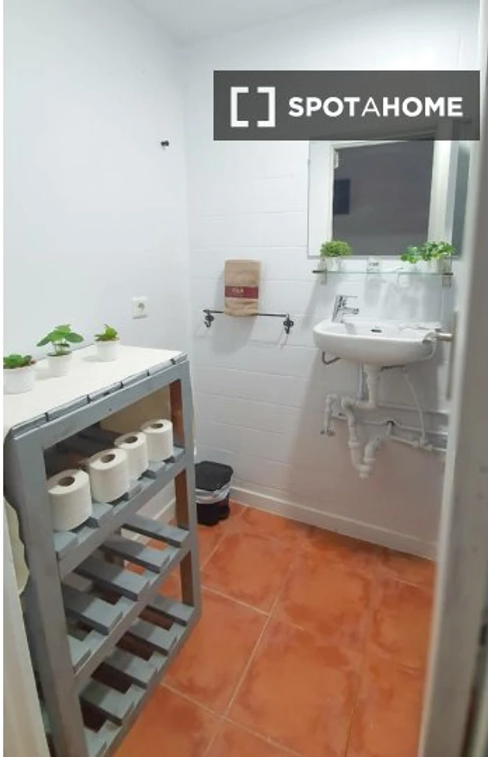 Chambre à louer dans un appartement en colocation à Las Palmas (gran Canaria)