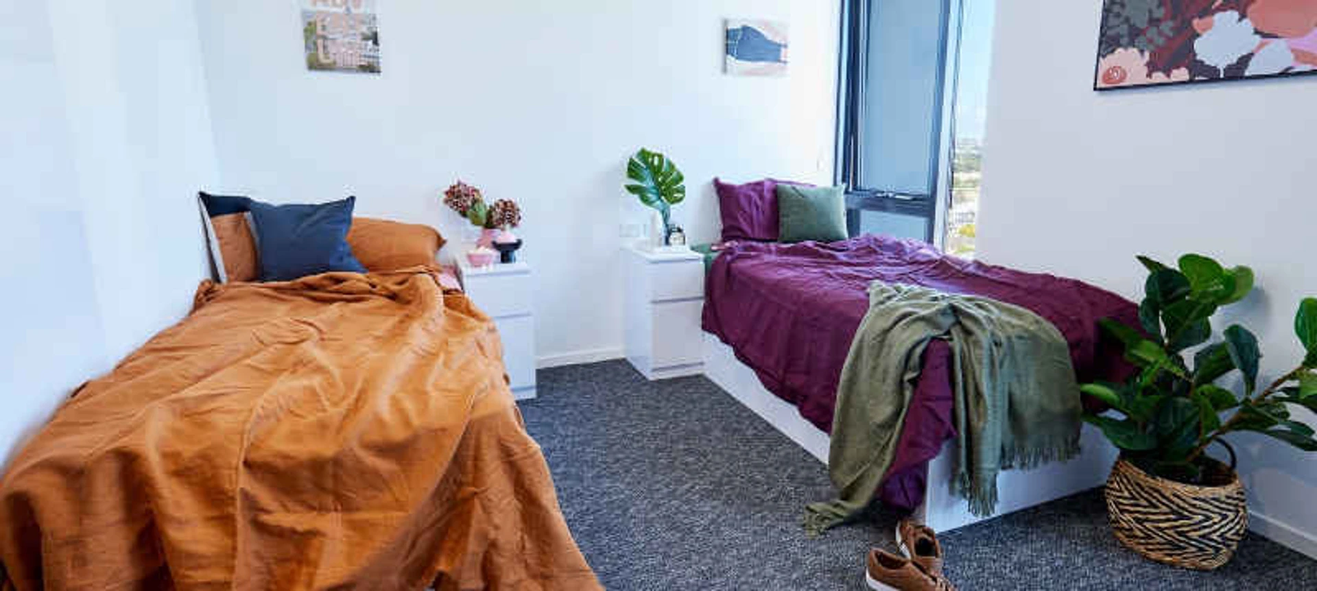 Gemeinsames Zimmer mit einem anderen Studierenden in Sydney