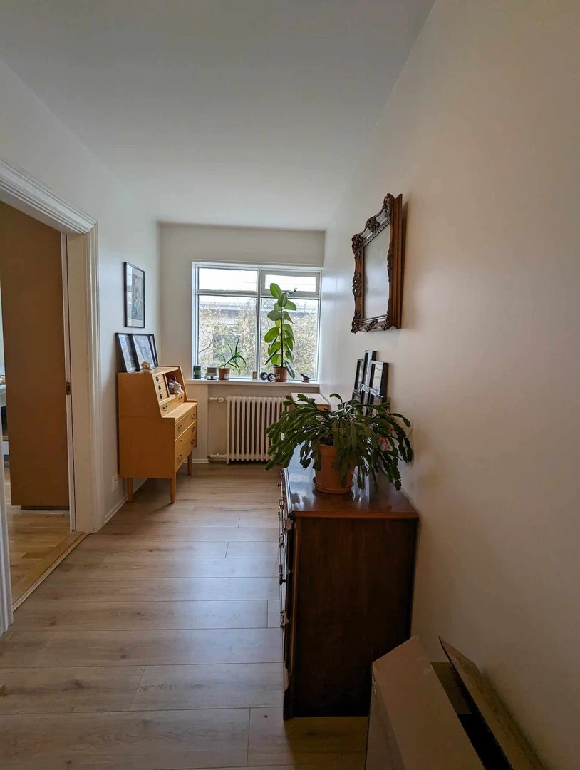 Alquiler de habitaciones por meses en Reikiavik