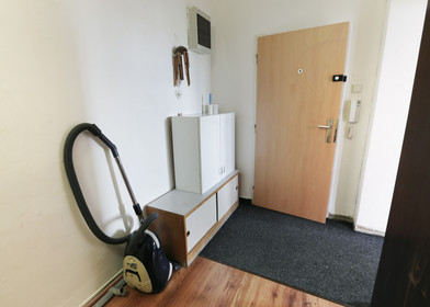 Room for rent with double bed Brno