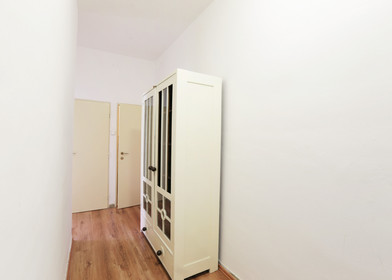 Alquiler de habitación en piso compartido en Brno