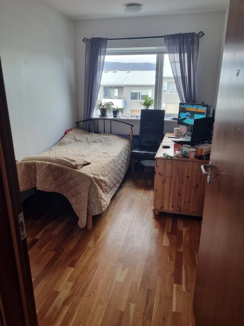 Alquiler de habitación en piso compartido en Reikiavik
