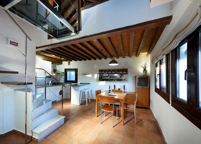 Entire fully furnished flat in Granada