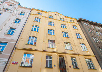 Entire fully furnished flat in Prague