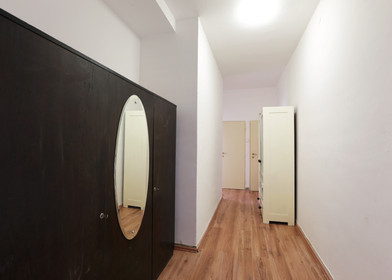 Bright private room in Brno