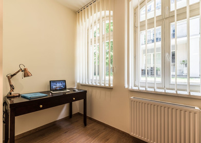Entire fully furnished flat in Poznań