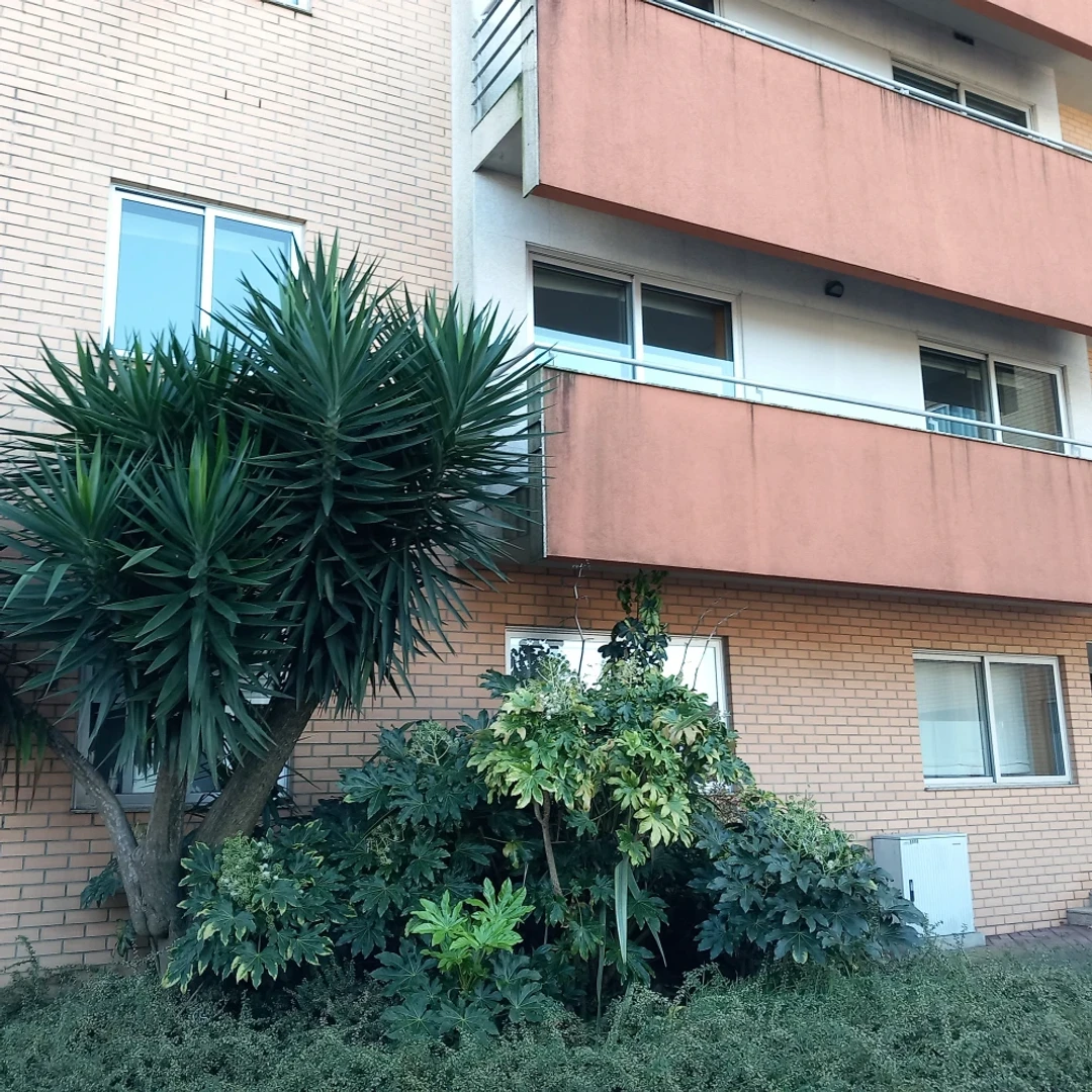 Alojamento com 2 quartos em Braga