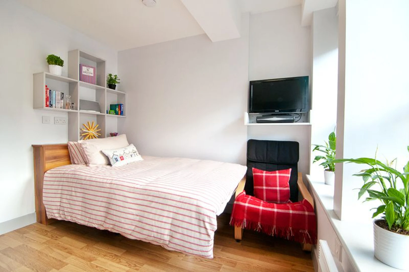 Chambre à louer dans un appartement en colocation à Southampton