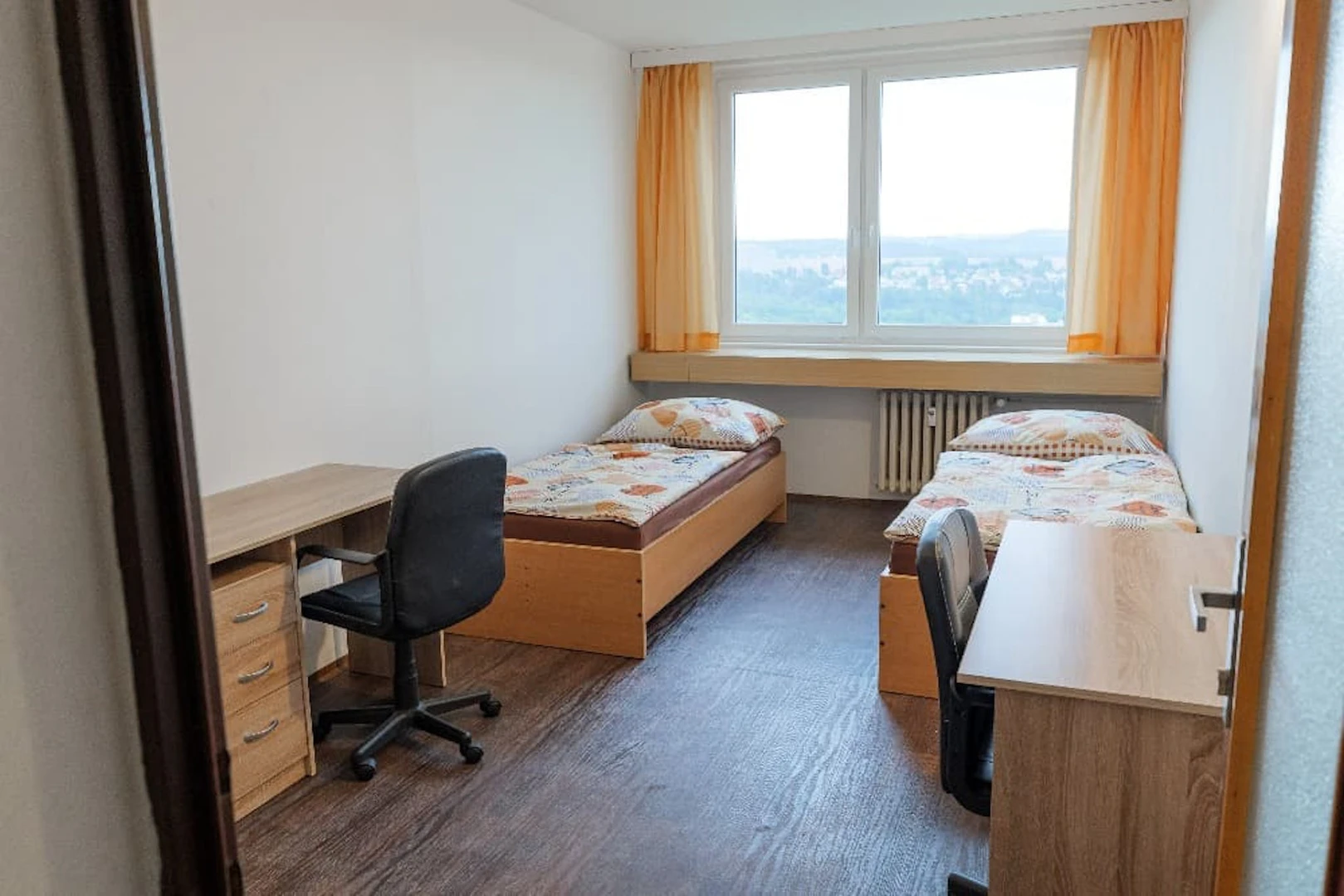 Chambre en colocation bon marché à Prague