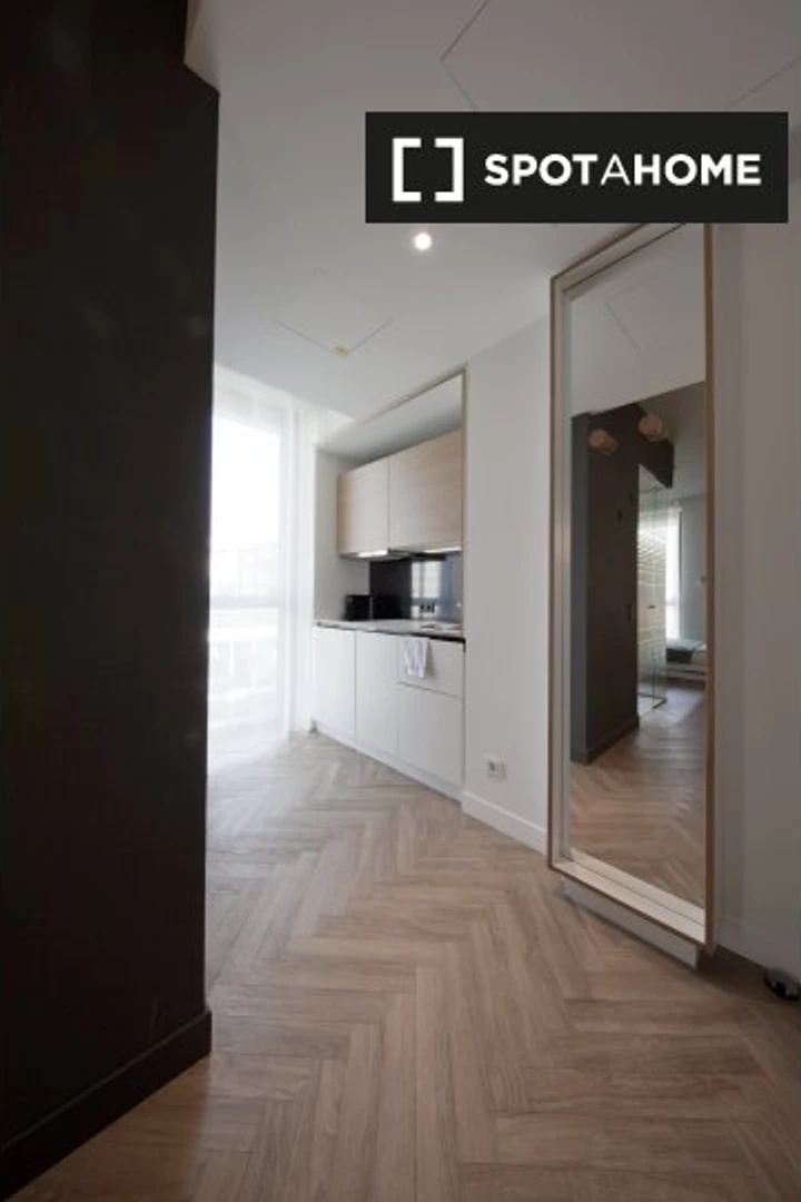 Wspaniałe mieszkanie typu studio w Monachium
