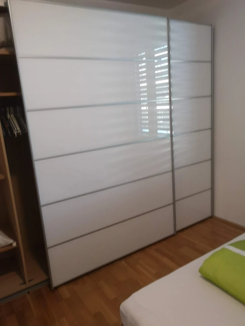 Chambre à louer dans un appartement en colocation à Linz