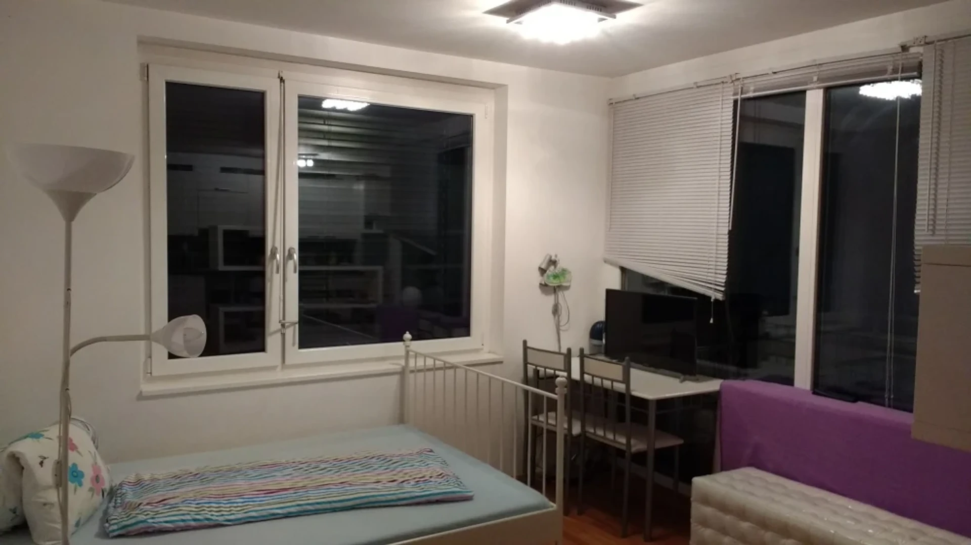 Chambre à louer dans un appartement en colocation à Linz