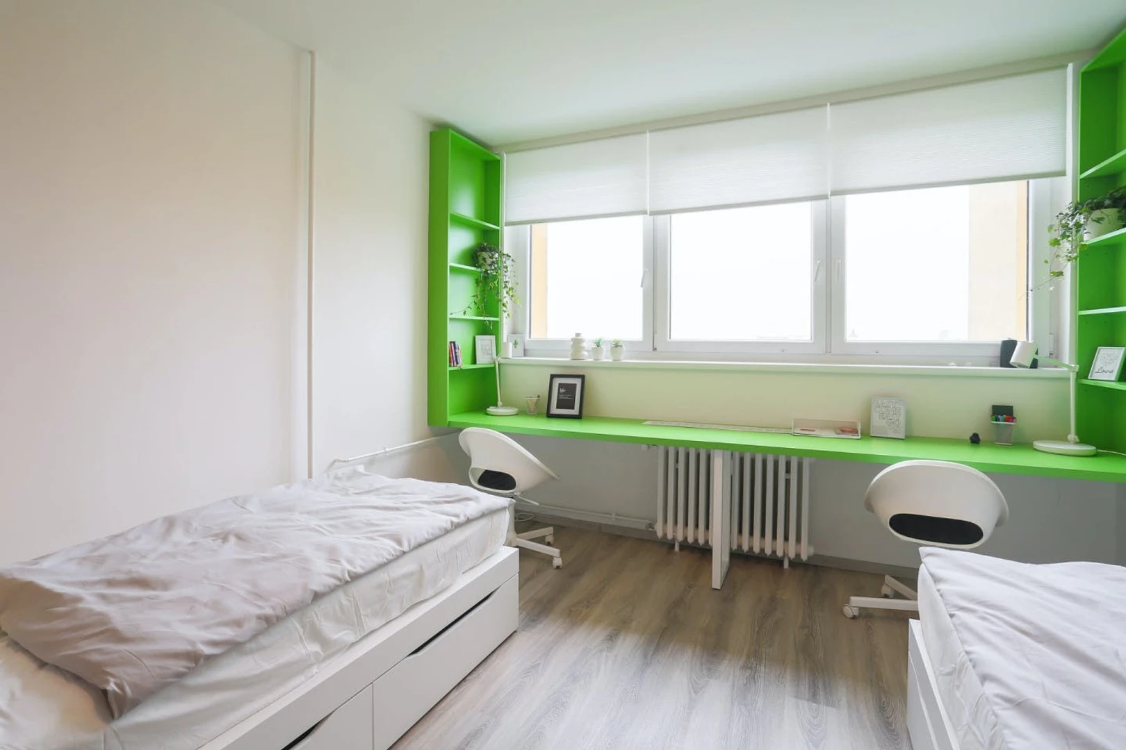 Bright shared room for rent in Prague