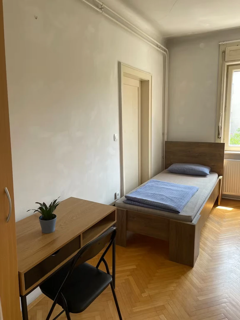 Ljubljana de başka bir öğrenci ile paylaşılan oda
