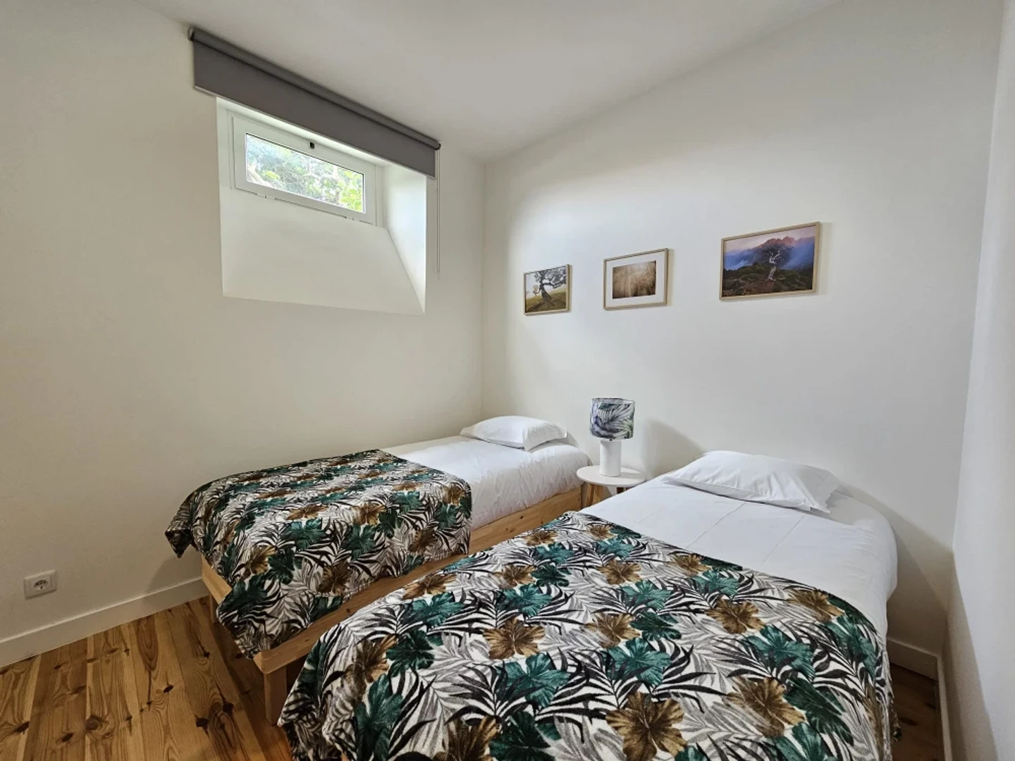 Accommodation in the centre of Madeira
