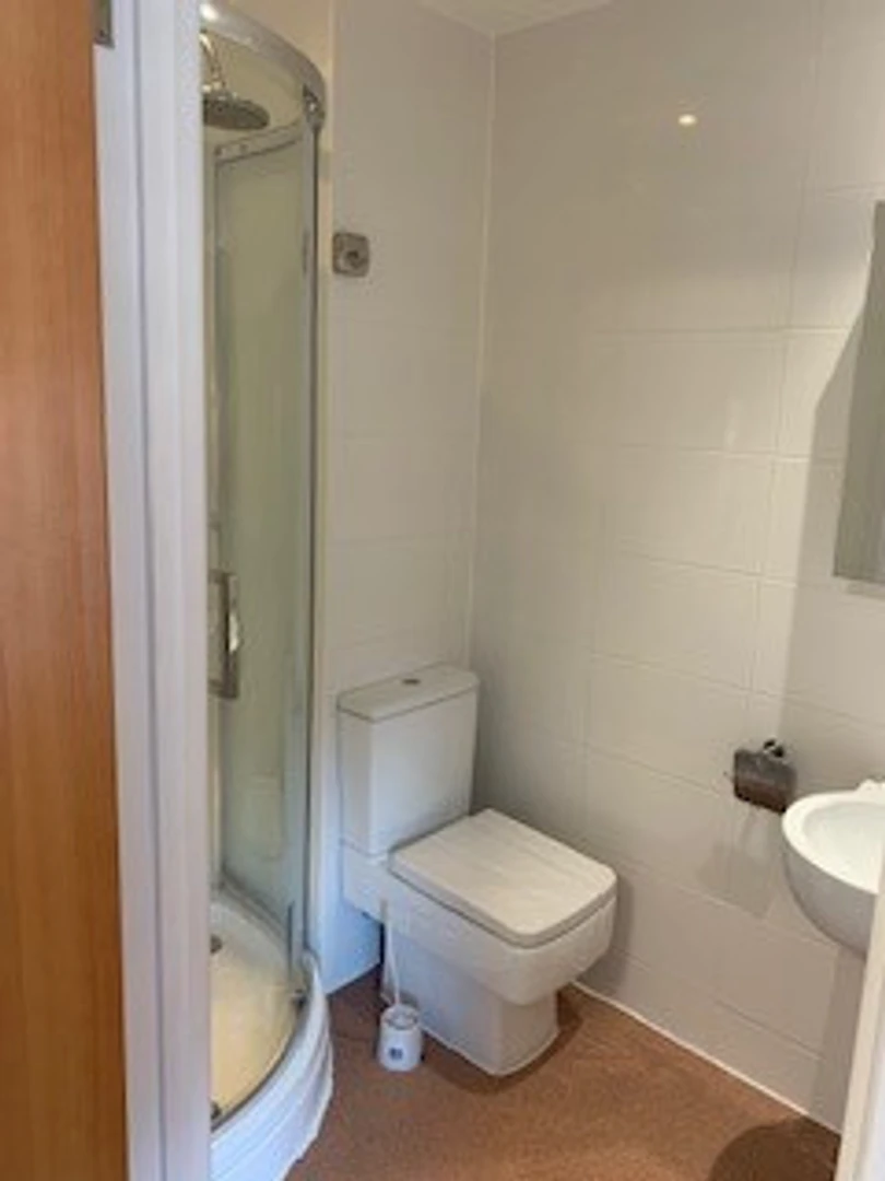 Room for rent in a shared flat in Canterbury