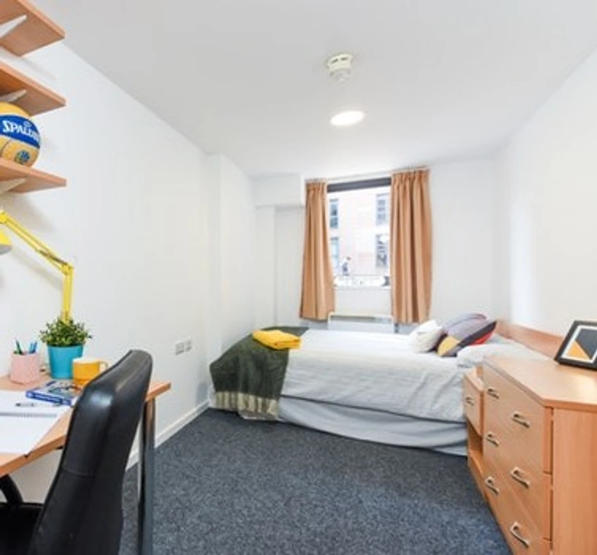Chambre à louer dans un appartement en colocation à Sheffield