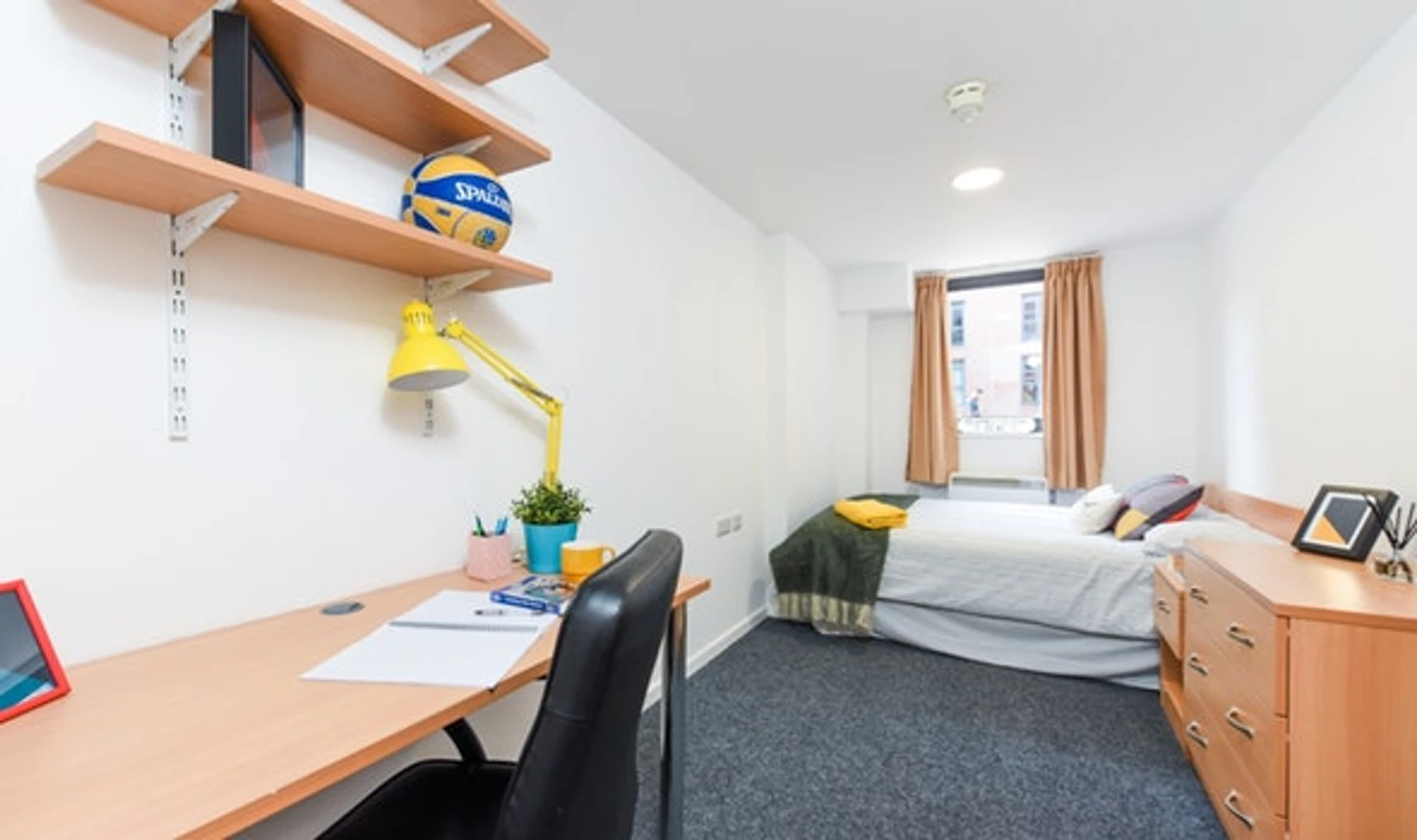 Accommodation in the centre of Sheffield