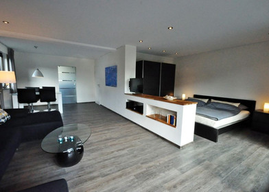 Appartement moderne et lumineux à Bielefeld